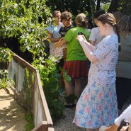 Návštěva u Anežky